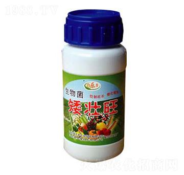 生物菌矮壯旺-喜樂豐農業
