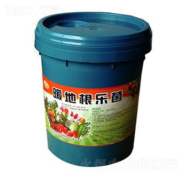 暖地根樂菌-喜樂豐農業