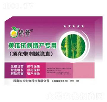 黃瓜抗病增產專用-沐谷生物