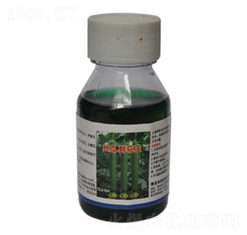 絲瓜鮮花王-農伯樂