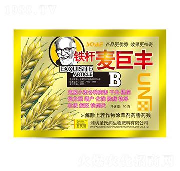 麥巨豐-圣氏潤