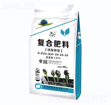 復合肥料19-19-19-騰博肥業