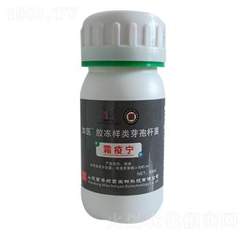 膠凍樣類芽孢桿菌-如醫-苗本藥菌