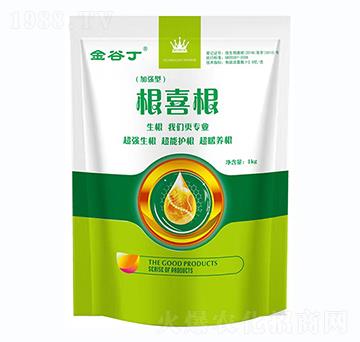 根喜根-金谷丁