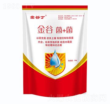 金谷菌＋菌-金谷丁