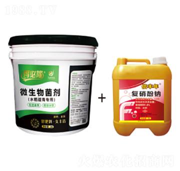 水稻返青專用微生物菌劑-得必隆-農墾久豐
