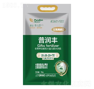 全營養功能型大量元素水溶肥20-20-20+TE-普潤豐