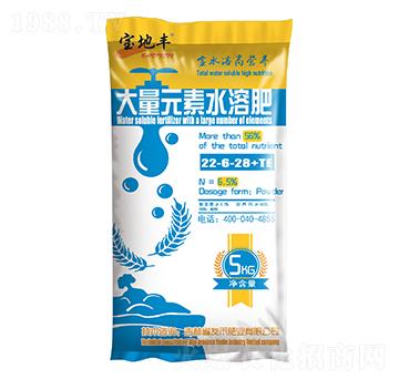 大量元素水溶肥料22-6-28+TE-寶地豐-友禾肥業