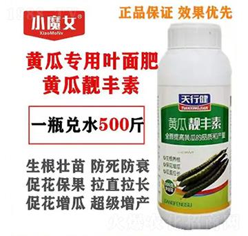 黃瓜專(zhuān)用葉面肥-黃瓜靚豐素-小魔女-天行健