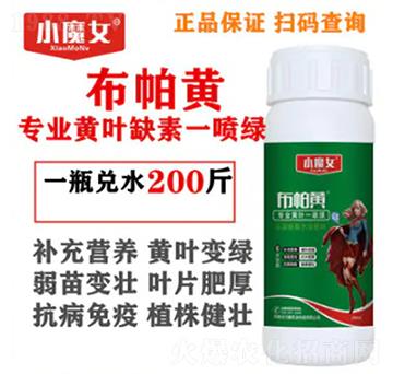 專業黃葉缺素一噴綠-布帕黃-小魔女-天行健