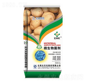 馬鈴薯專用微生物菌劑-世紀云天