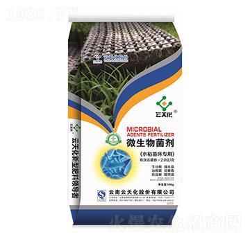 水稻苗床專用微生物菌劑-世紀云天