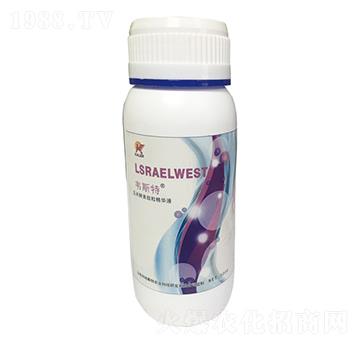 玉米酵素早熟鼓粒精華液-韋斯特-愷樂農業