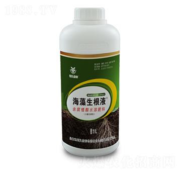 含腐植酸水溶肥-海藻生根液-領先康地