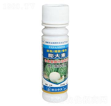 西瓜、甜瓜專用-防裂膨大素-中天肥業