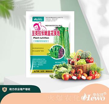 豆類(lèi)拉長(zhǎng)嫩直花莢飽-華爾沃