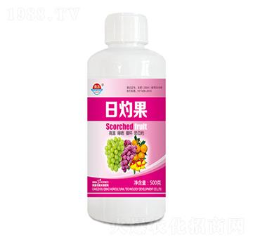 500克日灼果-青農奇寶
