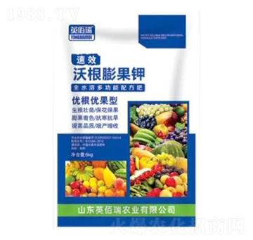 沃根膨果鉀優根優果型-榮耀農業