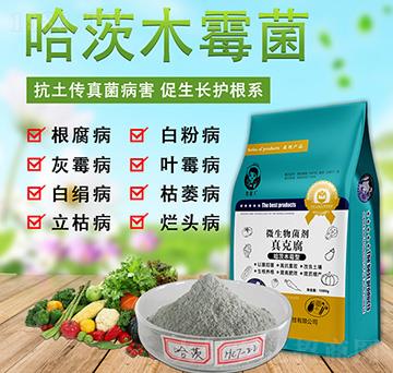 哈茨木霉型微生物菌劑-牧田人