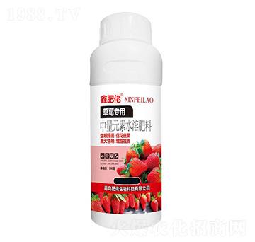草莓專用中量元素水溶肥料-鑫肥佬-肥佬生物